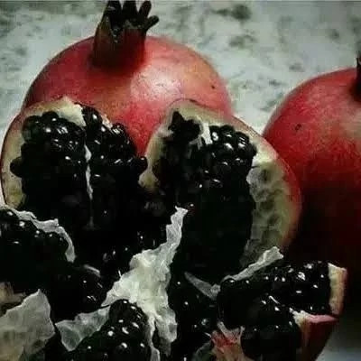 خرید نهال انار دانه سیاه درشت شیرین اب دار بسیار اقتصادی مقاوم به کم ابی و گرما