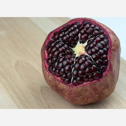 خرید نهال انار دانه سیاه درشت شیرین اب دار بسیار اقتصادی مقاوم به کم ابی و گرما