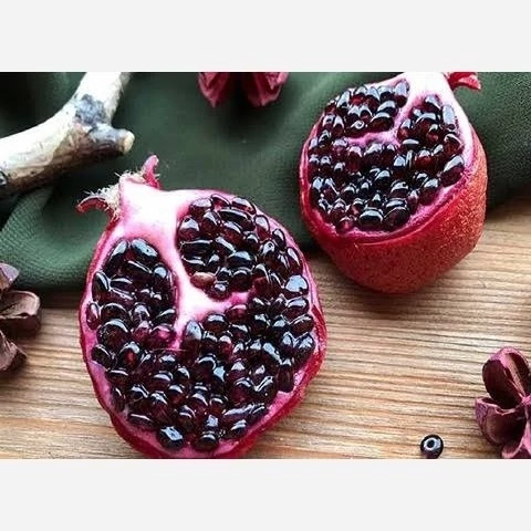 خرید نهال انار دانه سیاه درشت شیرین اب دار بسیار اقتصادی مقاوم به کم ابی و گرما
