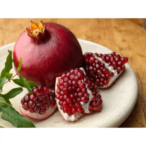 خرید نهال انار بدون دانه ژله ای درشت شیرین اب دار بسیار اقتصادی مقاوم به کم ابی و سرما