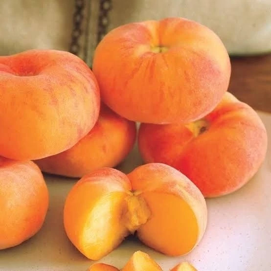 خرید نهال هلو انجیری اناناسی شیرین آب دار بسیار اقتصادی مقاوم به کم ابی و سرما