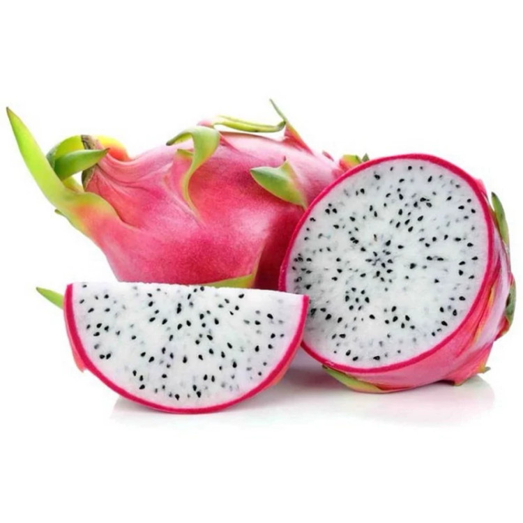 خرید نهال قلمه دراگون فروت سفید خوشمزه بسیار اقتصادی مقاوم به کم ابی و سرما