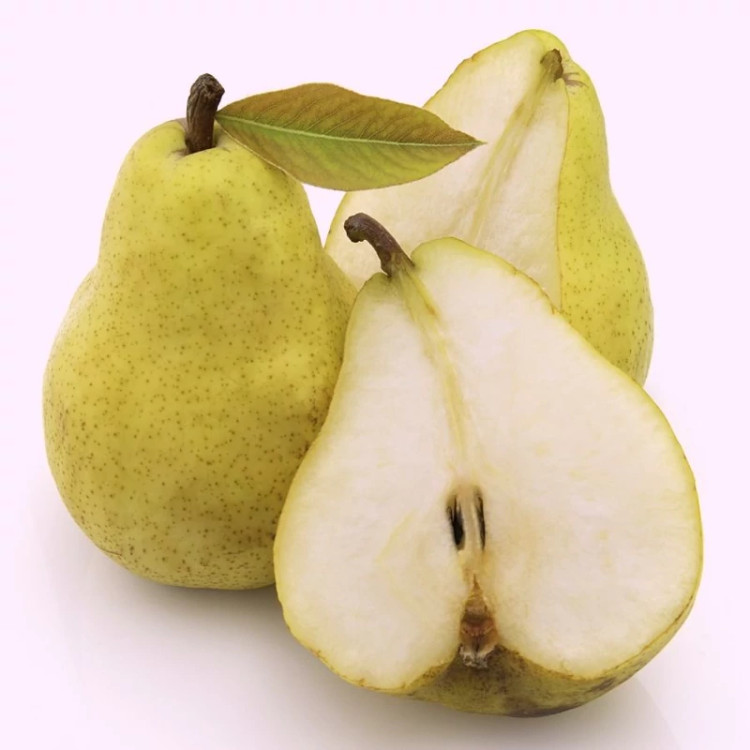 خرید نهال گلابی شاه میوه خوشمزه شیرین درشت مقاوم به کم ابی و گرما