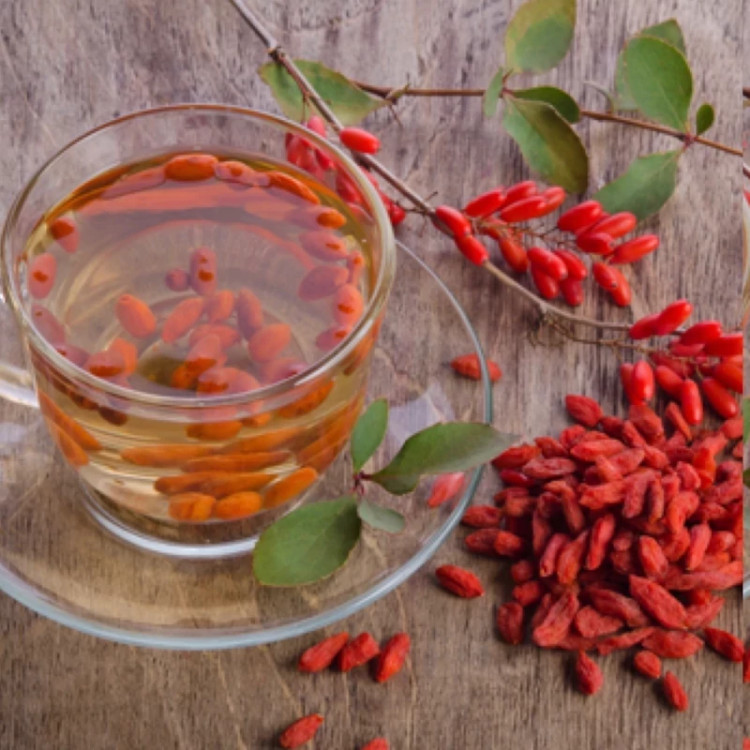 خرید نهال گوجی بری چینی خوش مزه مقاوم به کم ابی و گرما